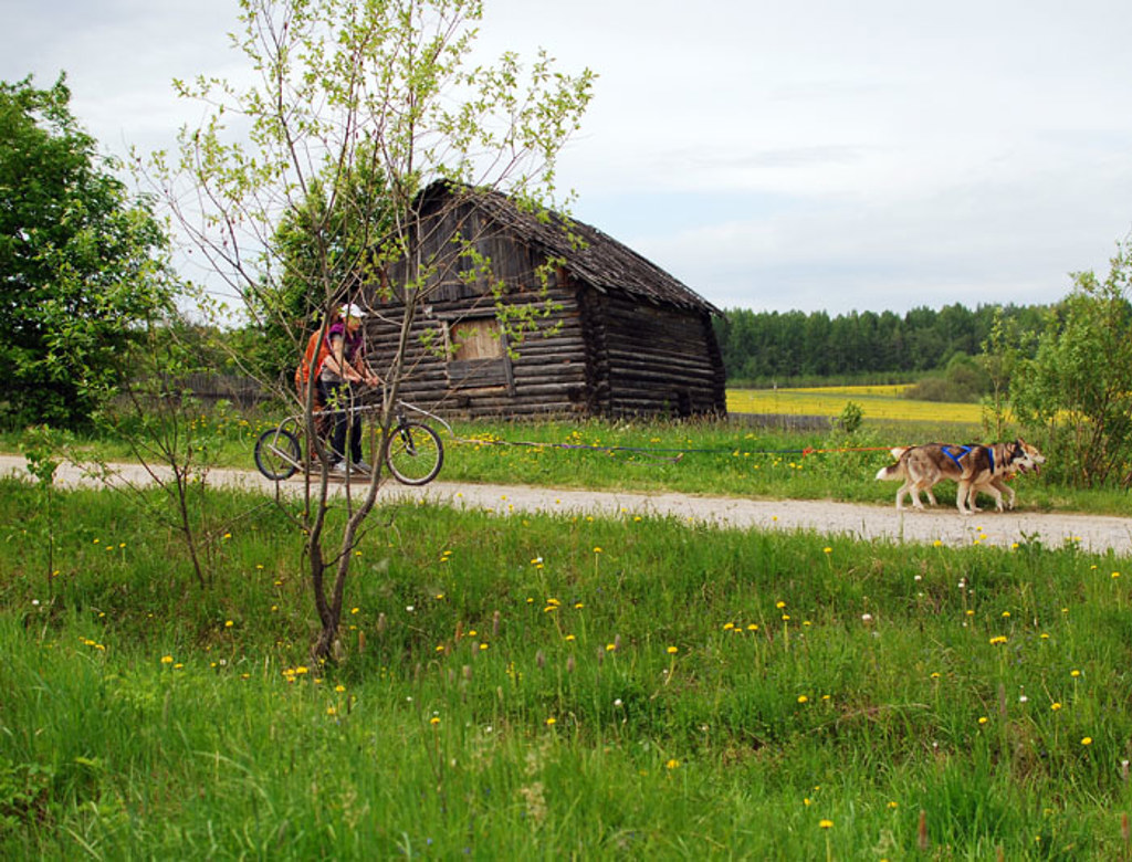 Fietser met hond op landweg langs houten boerderij in groen landschap tijdens groepsrondreis Rusland.