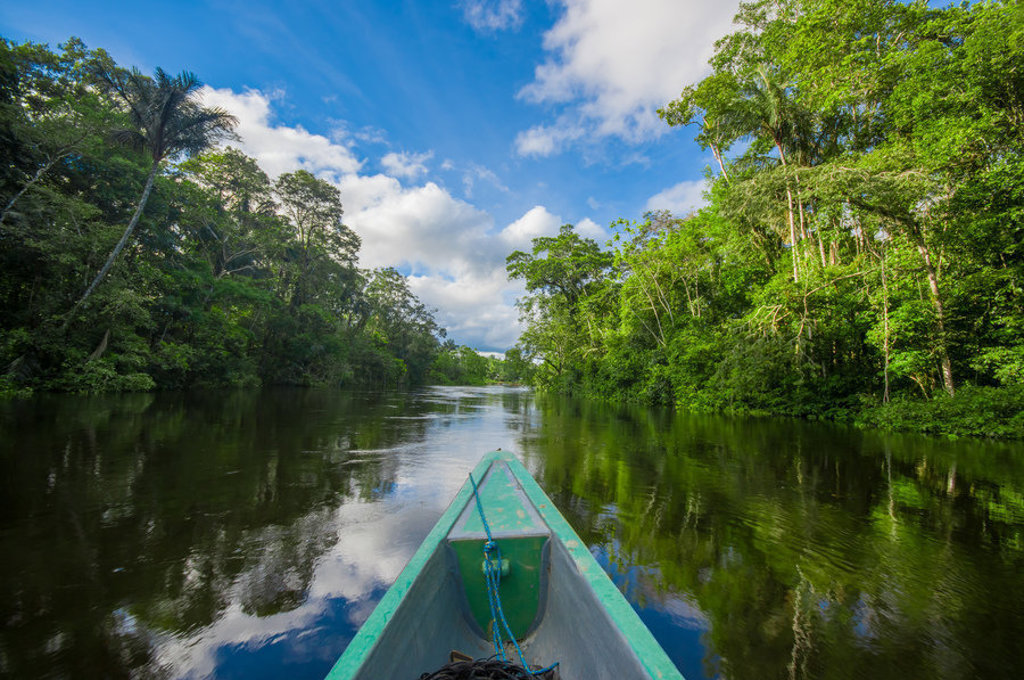 Boottocht over een rivier door het Amazonegebied in Ecuador, omringd door dicht regenwoud.