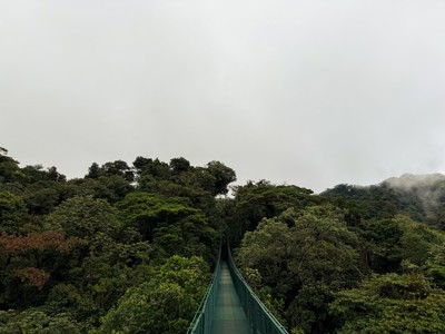 Hangbrug door het nevelwoud in Costa Rica langs de route Costa Rica hoogtepunten.