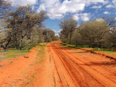 Rode onverharde weg door de Australische outback, omringd door lage bomen onder een blauwe lucht.