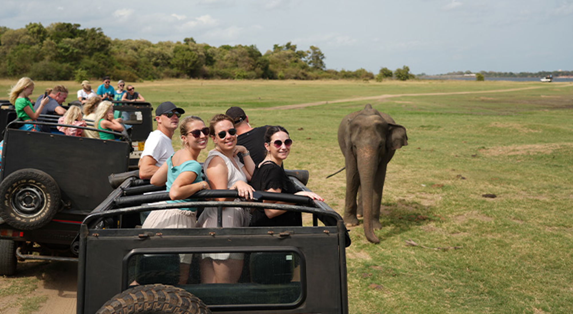 Safari-jeeps met toeristen naast een olifant op een open grasvlakte.