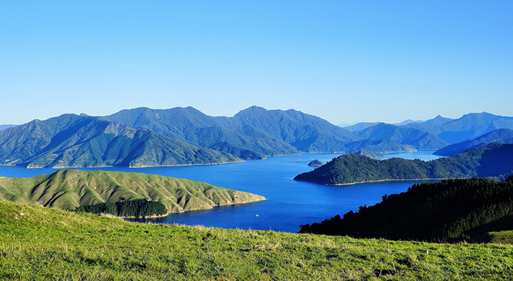 Marlborough Sounds in Nieuw-Zeeland Panoramisch uitzicht op een helderblauw meer tussen groene heuvels en bergketens onder een strakblauwe lucht.