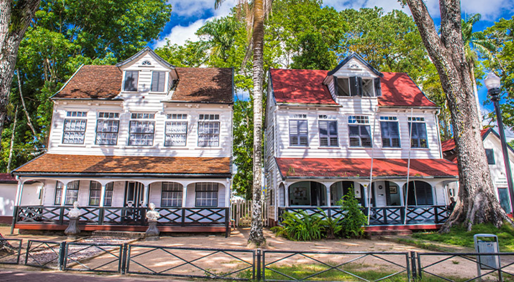 Paramaribo Witte houten koloniale huizen met veranda tussen palmbomen en groen in Paramaribo, Suriname.