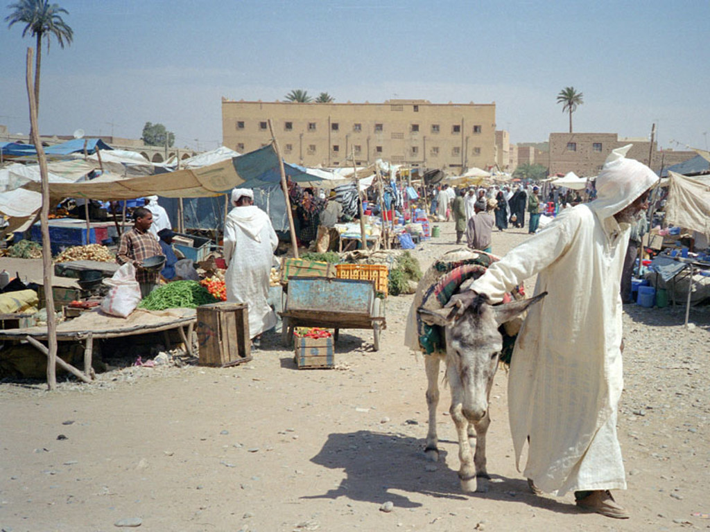Man met ezel op een drukke markt in Marokko tijdens een premium groepsrondreis.