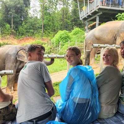 Kinderen voeren een olifant tijdens een familiereis in Thailand.