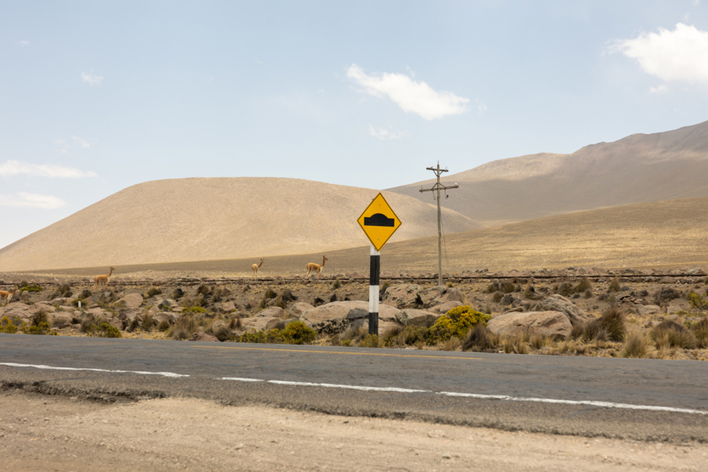 Weg door het Andeslandschap in Peru met vicuña’s en een verkeersbord tegen de bergen.