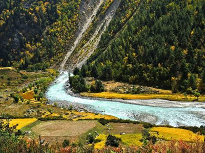Turkooizen rivier slingert door een vallei met herfstbossen langs de route Spiti & Ladakh.