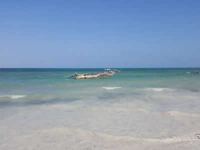 strand