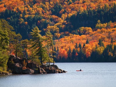 Herfstkleuren in het bos aan een meer in Oost-Canada, met een kajakker op het water.