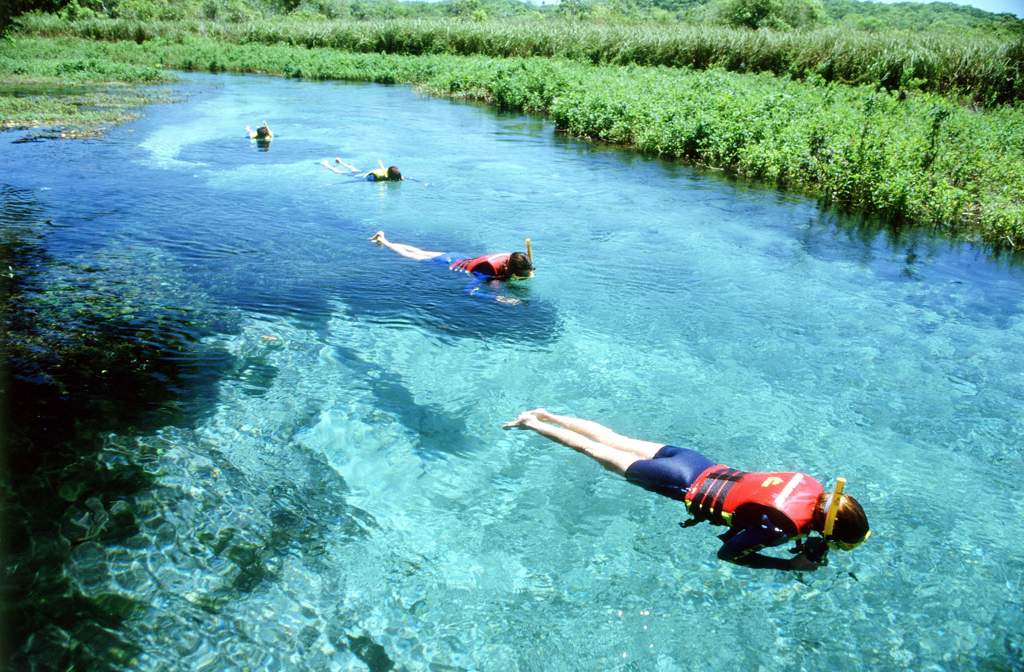 Snorkelen in kristalhelder water bij Bonito tijdens de groepsrondreis Brazilië en Buenos Aires.