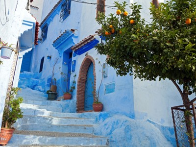 Blauw geschilderde straat met trappen en deuren in Chefchaouen, Marokko, met sinaasappelboom.