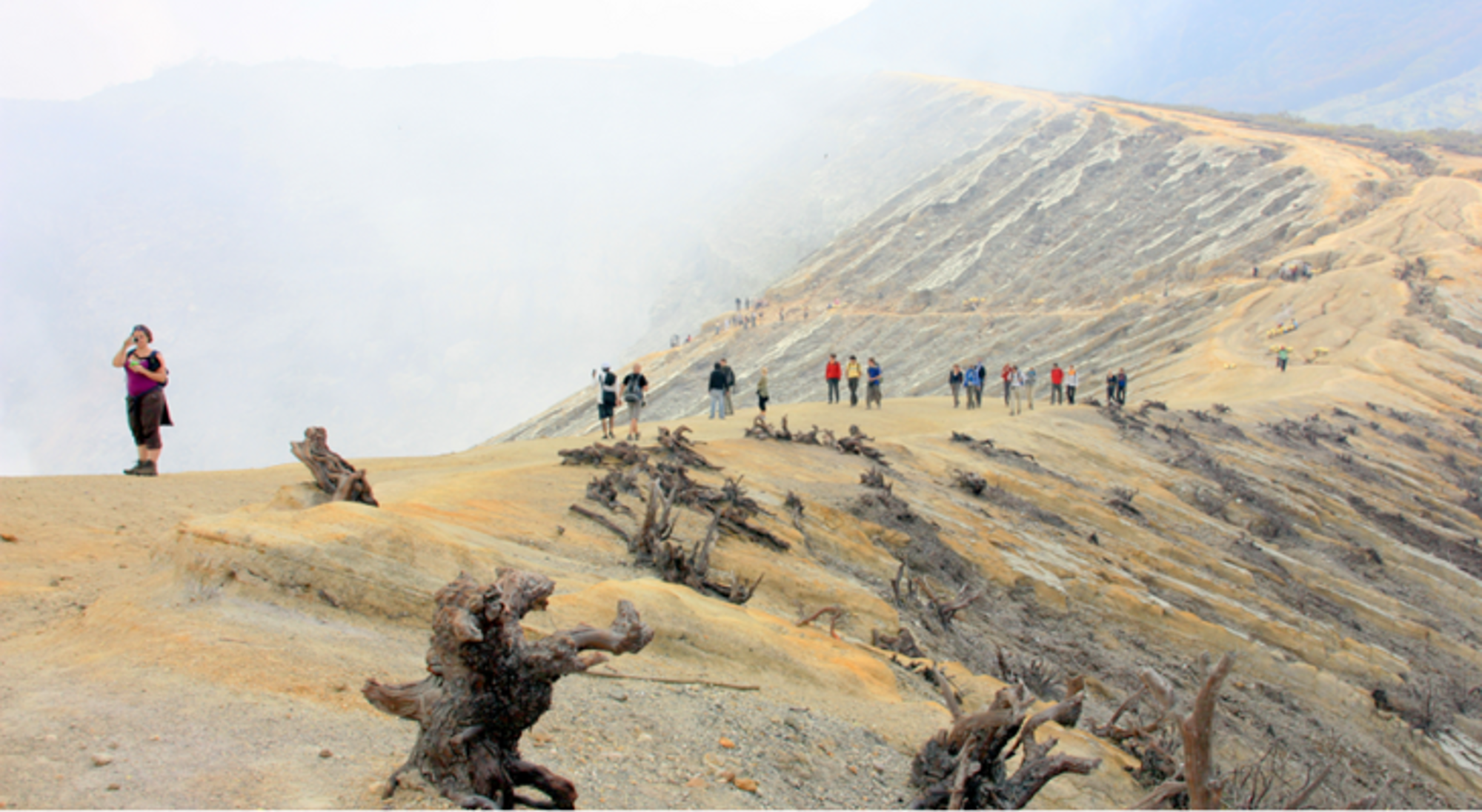 Mount Ijen op Java Wandelaars op de rand van een vulkaankrater met zwavelkleurige hellingen en dode boomstronken.