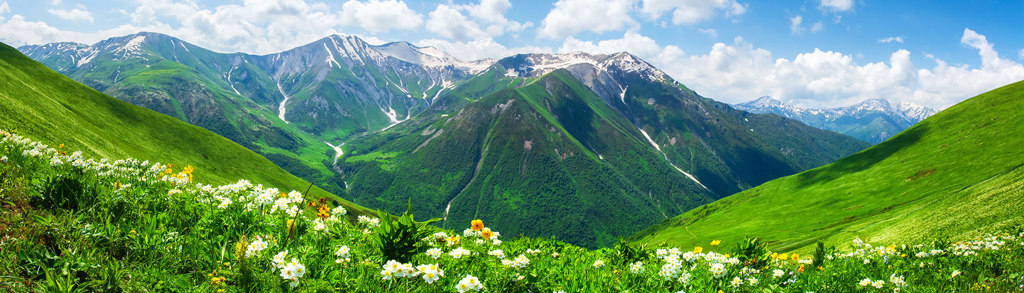 Groene bergvallei in Georgië met besneeuwde bergtoppen en wilde bloemen in de voorgrond.