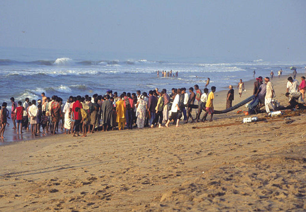 Vissers en omstanders op het strand van Zuid-India trekken samen een groot visnet uit zee.