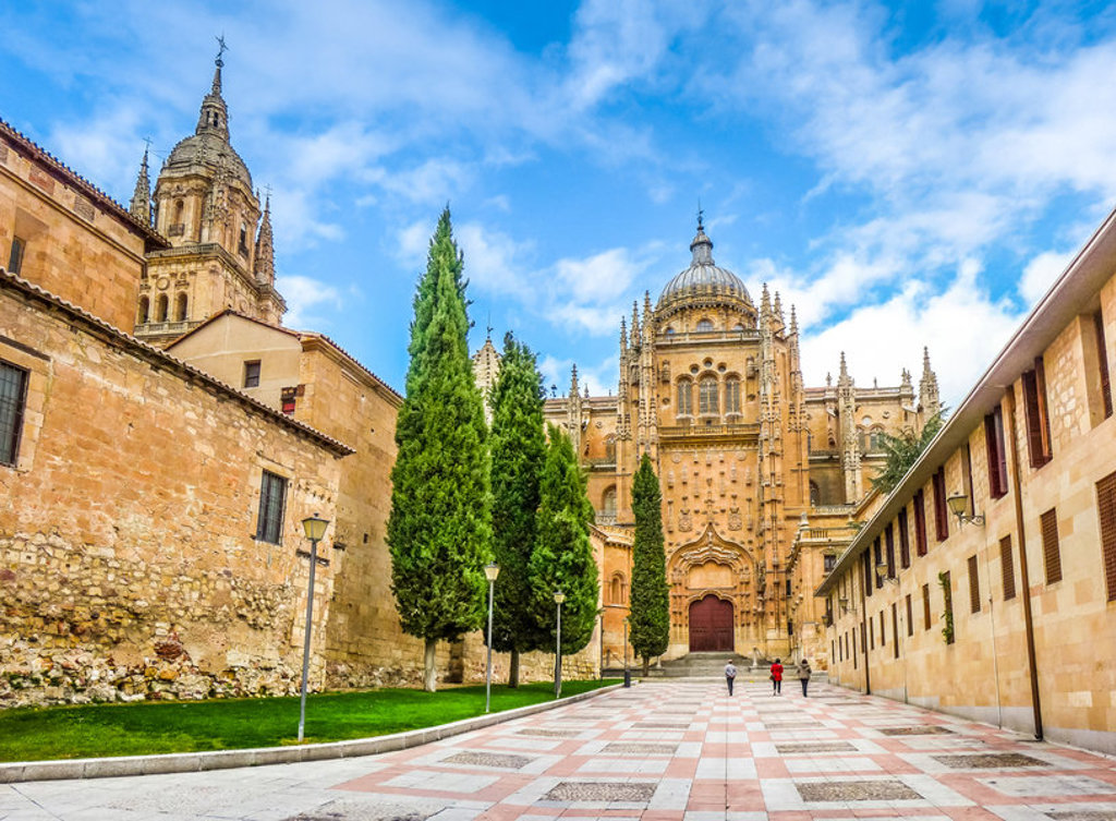 Kathedraal van Salamanca met historische gevels en cipressen, tijdens familiereis Spanje & Portugal.