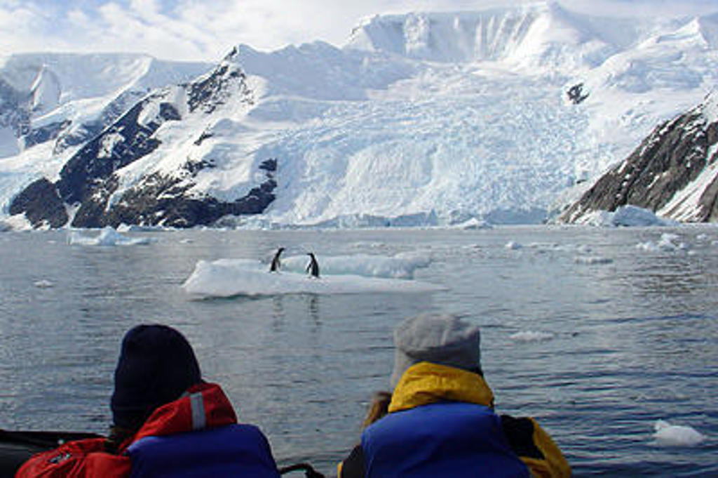 Zodiaccruise langs ijsbergen en gletsjers in Antarctica, met pinguïns op een ijsschots.