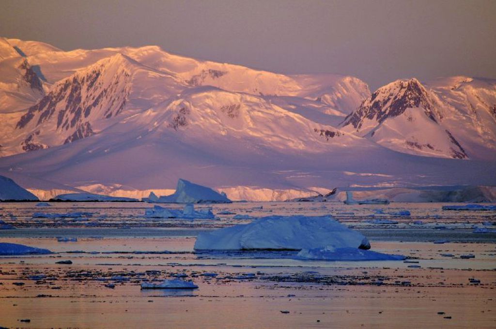 IJsbergen voor besneeuwde bergen in Antarctica tijdens een groepsrondreis per boot.