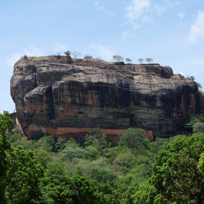 Olifantenkudde in het groen tijdens familiereis Sri Lanka en Malediven.