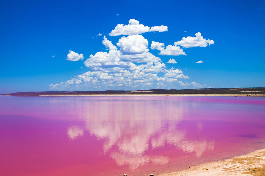 Roze zoutmeer met wolkenreflectie in West-Australië tijdens groepsrondreis.