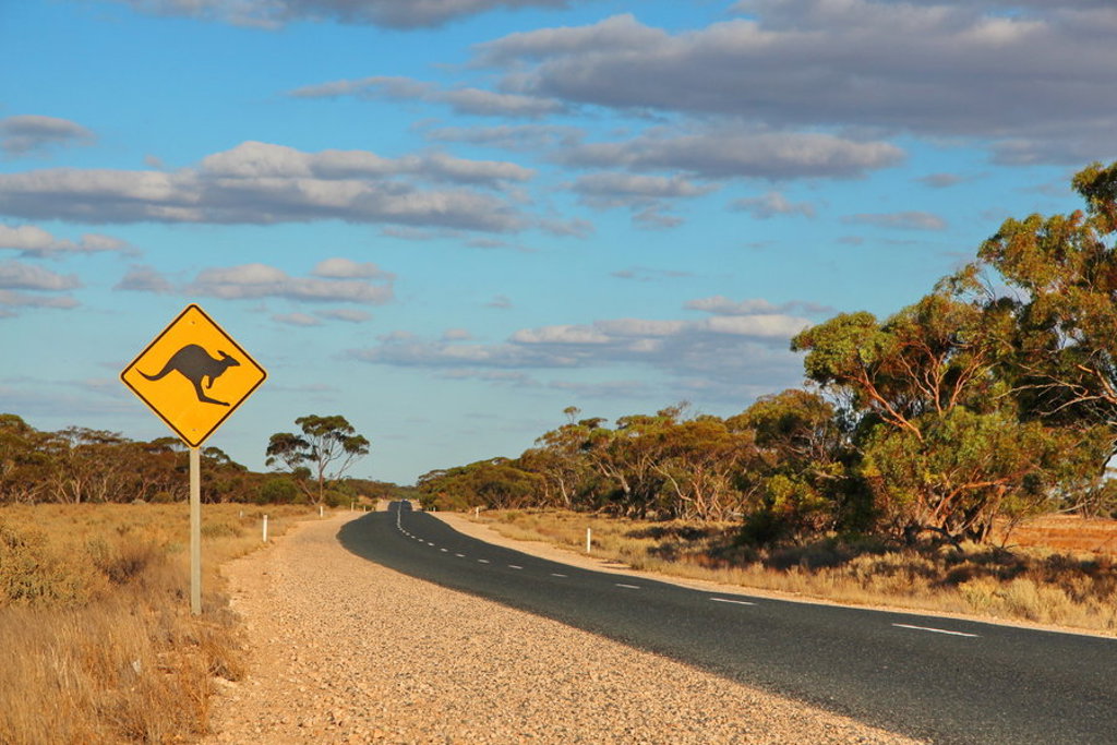 Kangoeroewaarschuwingsbord langs een lege outbackweg in Australië tijdens een groepsrondreis van Sydney naar Darwin.
