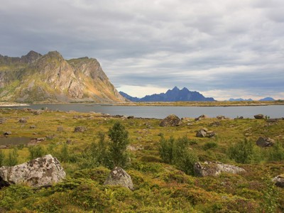 Ruig landschap met bergen en kustlijn op de Lofoten, Noorwegen, langs de Route Noorwegen Lofoten Pop-Up.