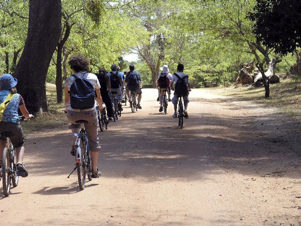 Groepsrondreis Sri Lanka: reizigers fietsen over een zandpad door een groen bosgebied.
