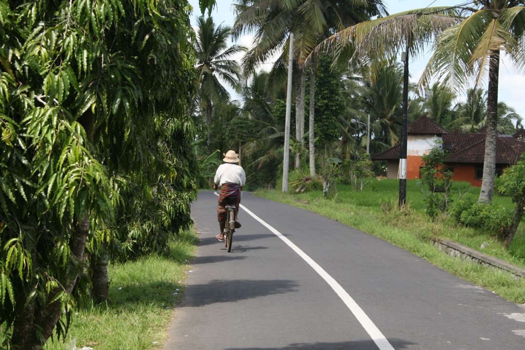 Fietser op een rustige weg tussen palmbomen en rijstvelden op Bali tijdens een groepsrondreis.
