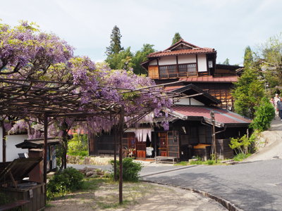 Traditionele Japanse huizen langs de Nakasendo-route met paarse blauweregen in bloei.