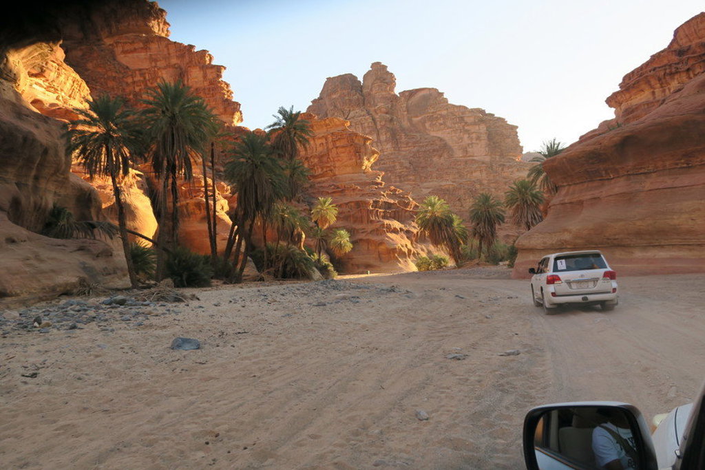 4x4 rijdt door een rotsachtige woestijnkloof met palmbomen in Saoedi-Arabië.
