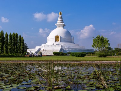 Witte Vredespagode in Lumbini, Nepal, met vijver vol waterlelies op de voorgrond.