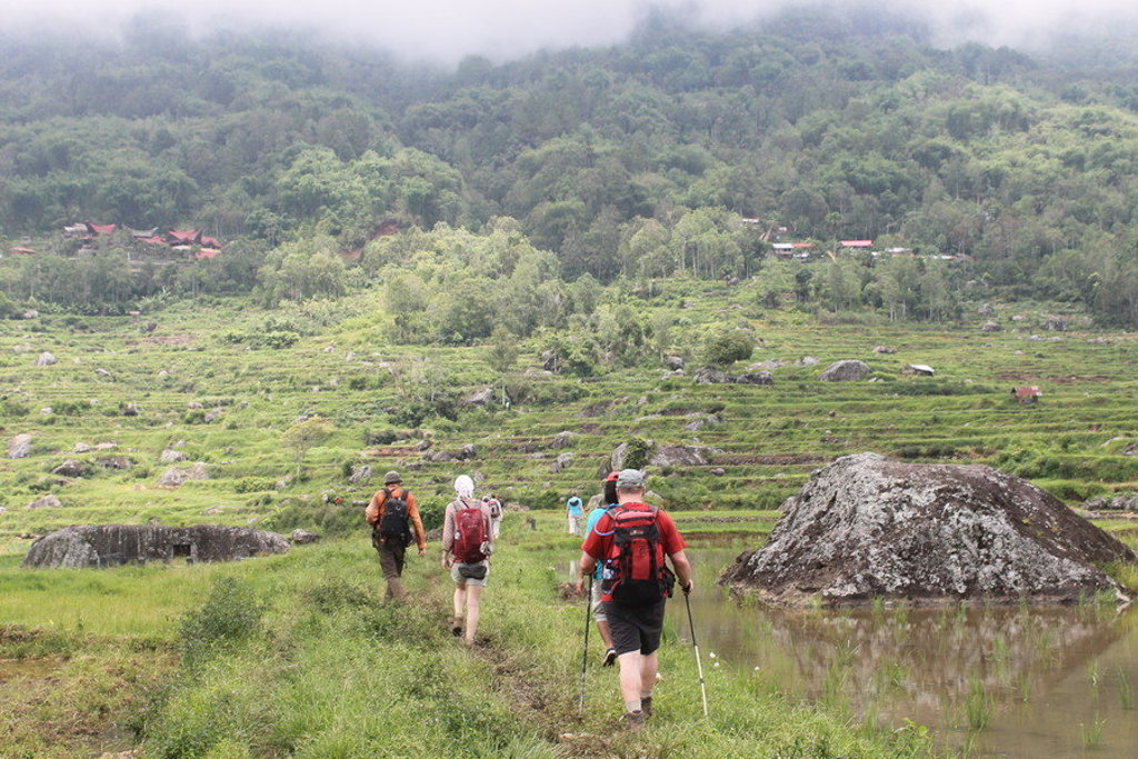 Wandelaars met rugzakken door groene rijstterrassen en heuvels op Sulawesi tijdens groepsrondreis Kalimantan, Sulawesi & Molukken.