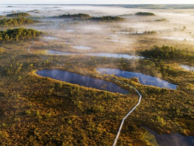 Houten vlonderpad door mistig moerasland met plassen, tijdens Route  Polen en Baltische Staten.