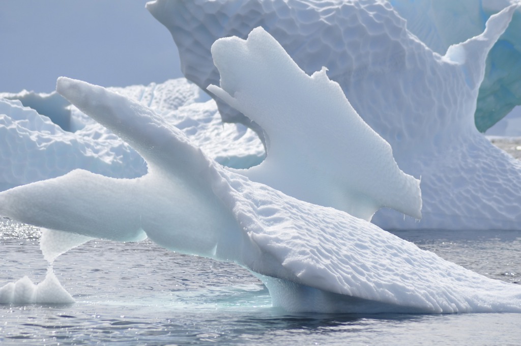 Grote ijsberg met grillige vormen in het water bij Antarctica.