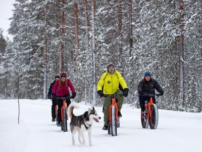 Fatbiken door het besneeuwde bos in Lapland bij Kylmäluoma, met een husky die meeloopt.