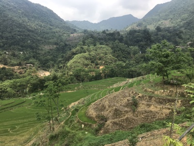 Groene rijstterrassen in de bergen tijdens Route Vietnam, dag 4.