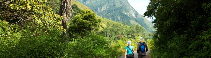Wandelaars op een pad door groen berglandschap in Sri Lanka, met hoge pieken op de achtergrond.