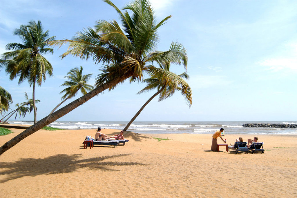 Palmbomen en strandstoelen aan het strand van Sri Lanka tijdens een fietsvakantie.