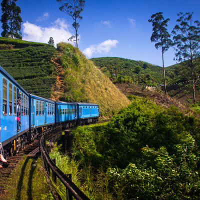 Blauwe trein door de groene theeplantages van Sri Lanka tijdens groepsrondreis Sri Lanka en Malediven.