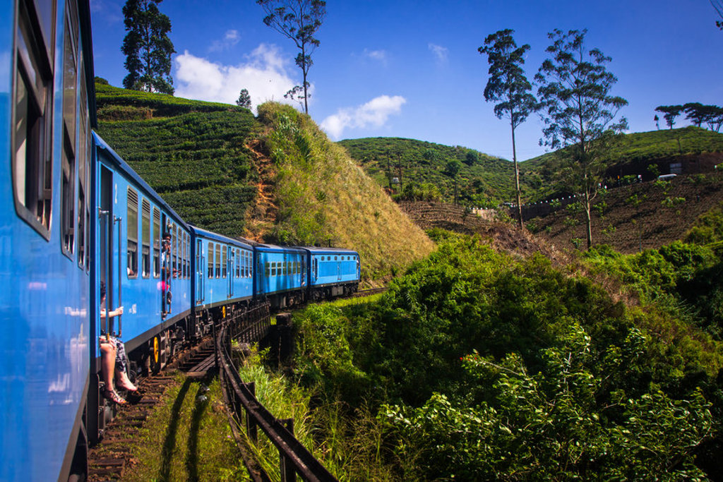 Blauwe trein door de groene theeplantages van Sri Lanka tijdens groepsrondreis Sri Lanka en Malediven.