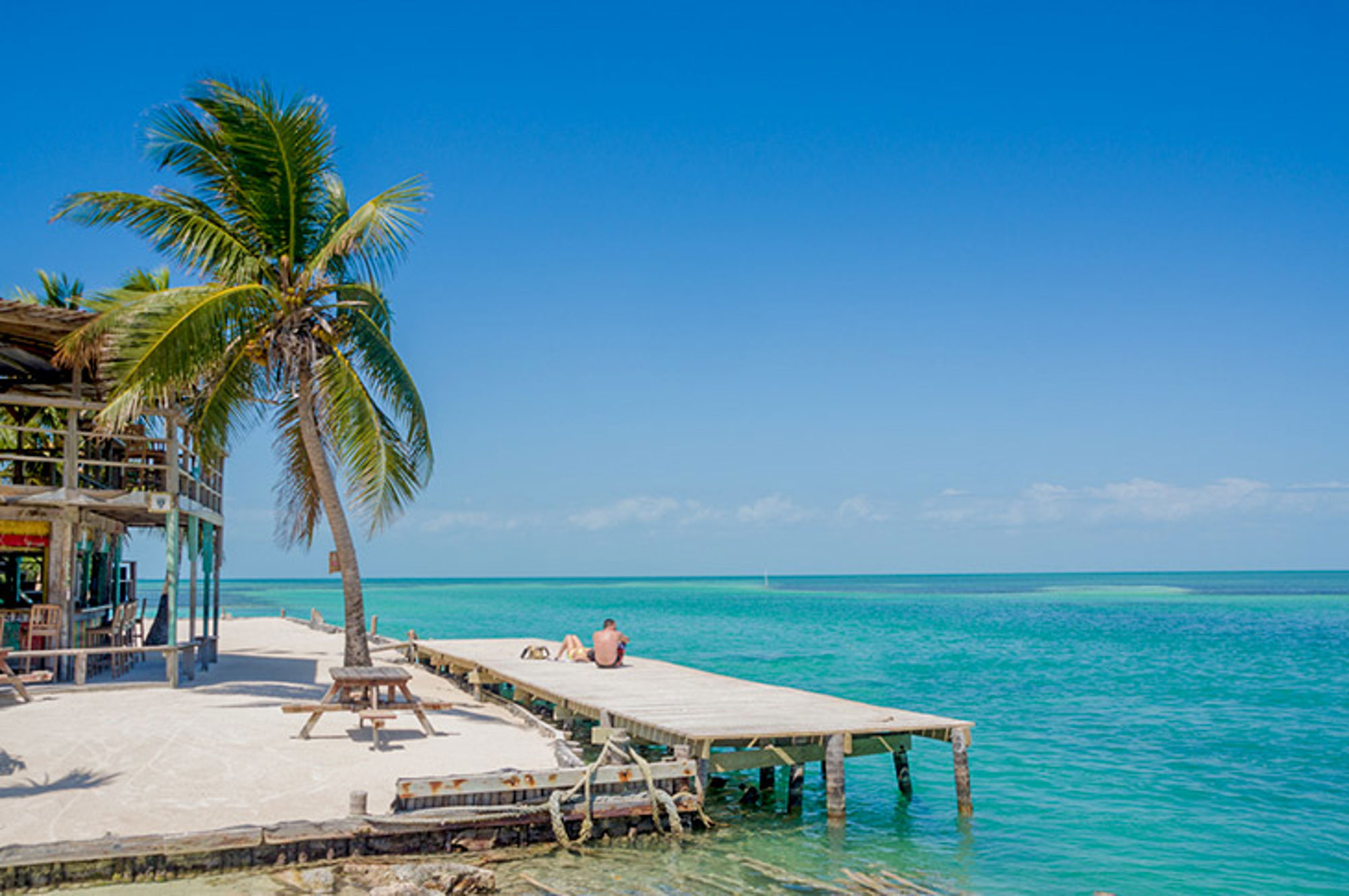 Palmboom bij houten steiger aan turquoise zee onder blauwe lucht.