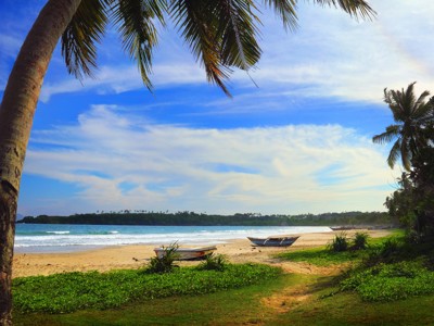 Palmen en vissersboten op een zandstrand aan de kust van Sri Lanka.