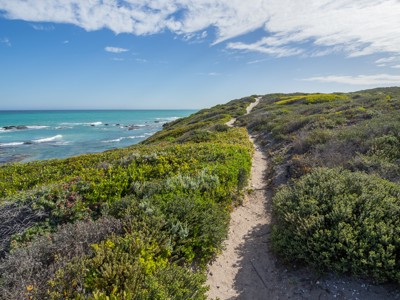 Kustpad langs de oceaan op de Tuinroute in Zuid-Afrika, met duinen en groene struiken onder blauwe lucht.