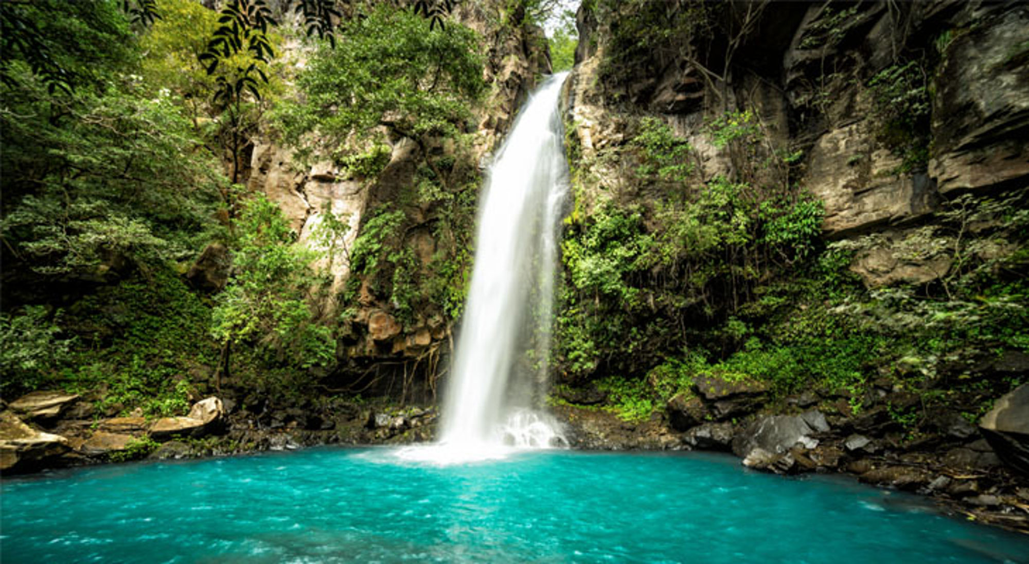 Catarata la Cangreja waterval Rincon de la Vieja Waterval in Costa Rica die uitmondt in een helderblauw bassin, omringd door groen en rotswanden.