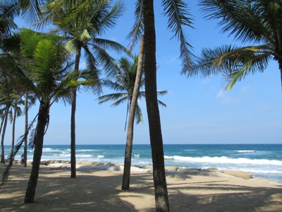 Palmbomen op het strand aan de kust van Vietnam tijdens de Route Vietnam.