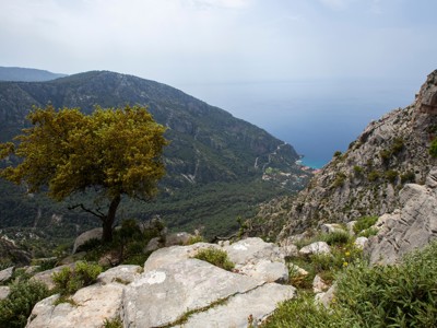 Uitzicht vanaf bergpad op de Turquoise Kust in Turkije, met rotsen, een boom en de zee in de verte.