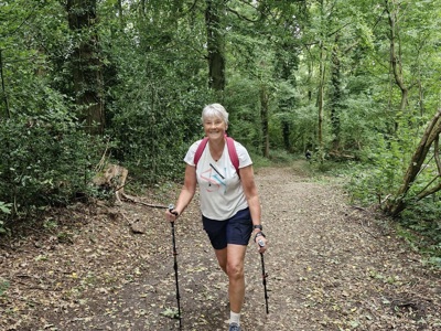 Wandelaar met stokken op bospad tijdens de Dutch Mountain Trail.