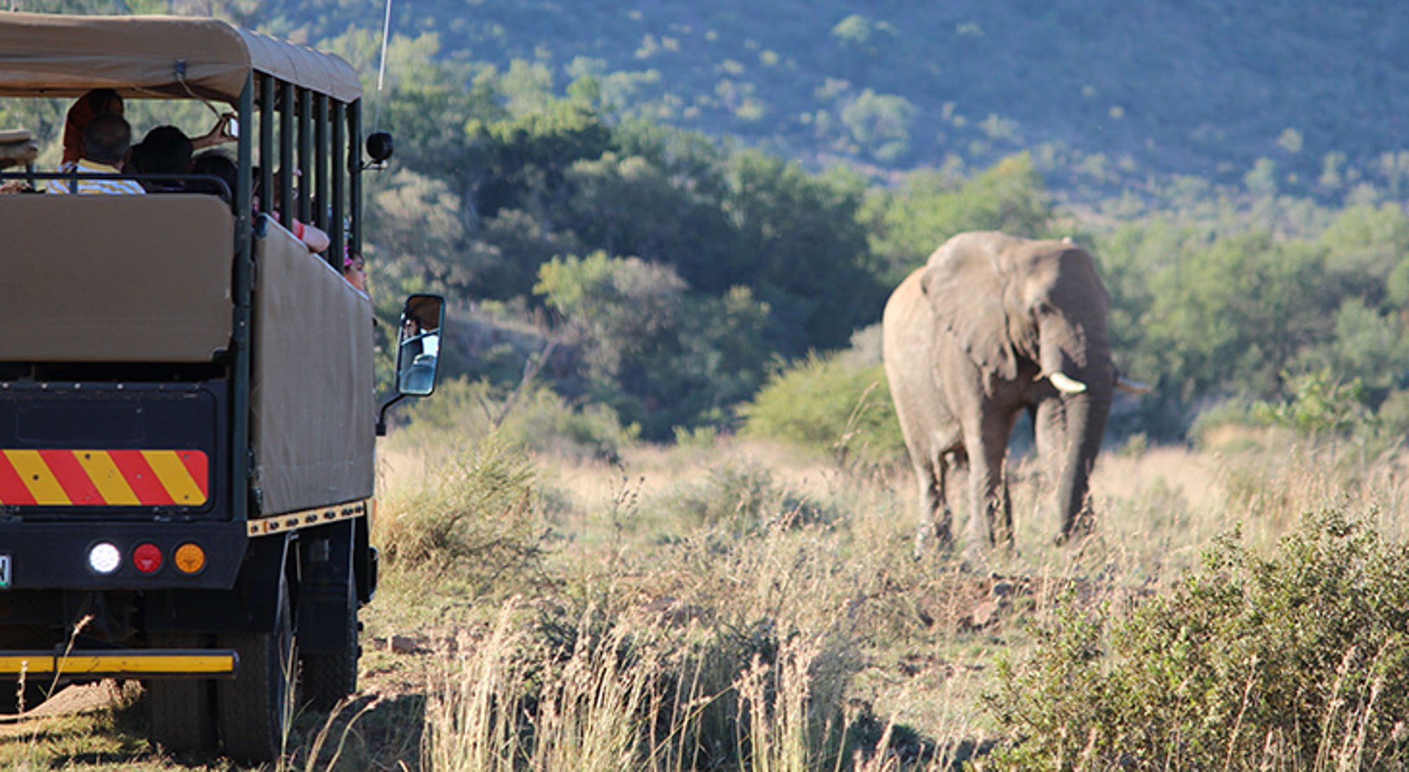 Safarivoertuig met toeristen observeert een olifant in de savanne.