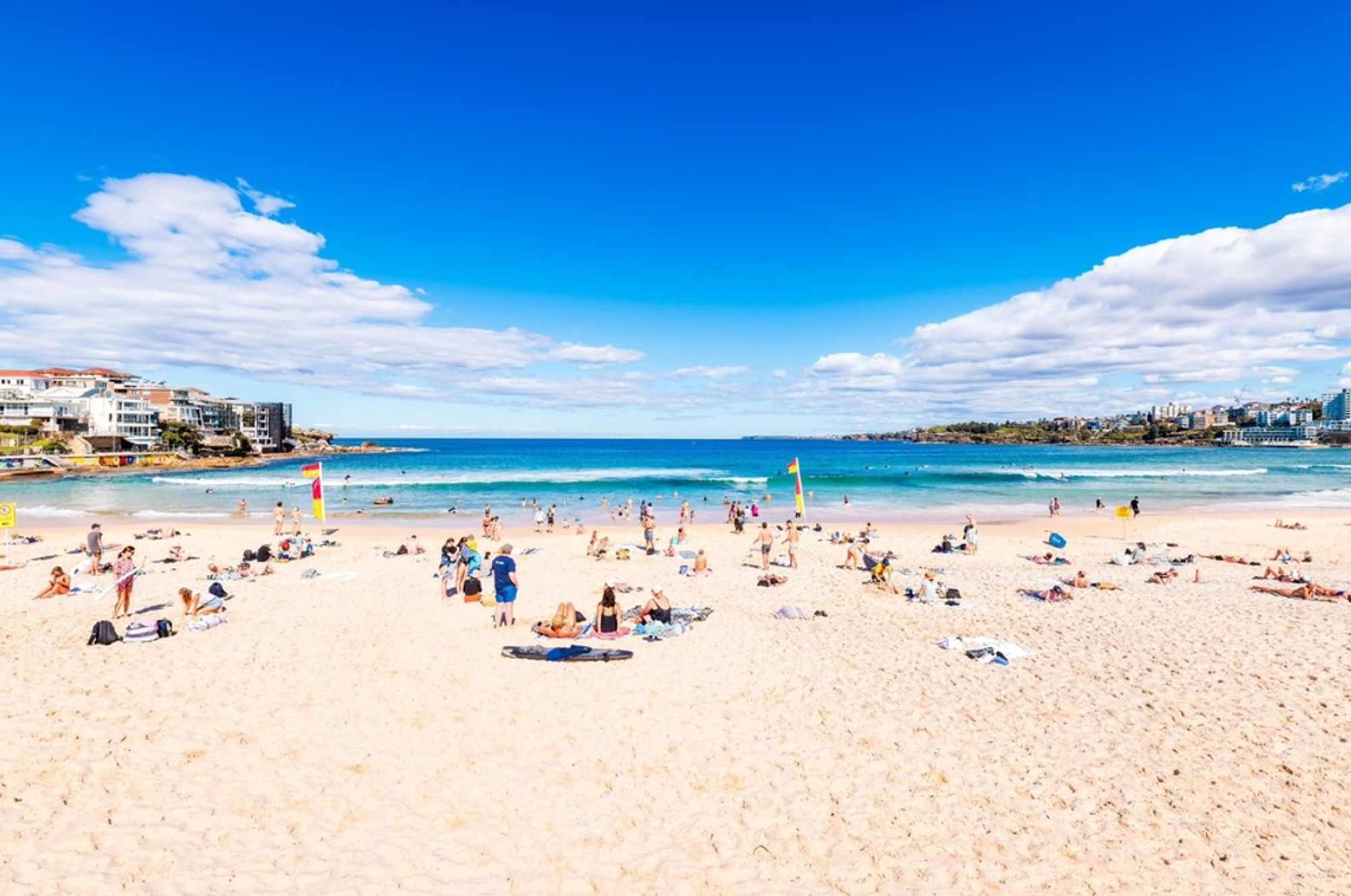 Druk zandstrand in Sydney met zwemmers, surfers en uitzicht op de oceaan onder een heldere blauwe lucht.