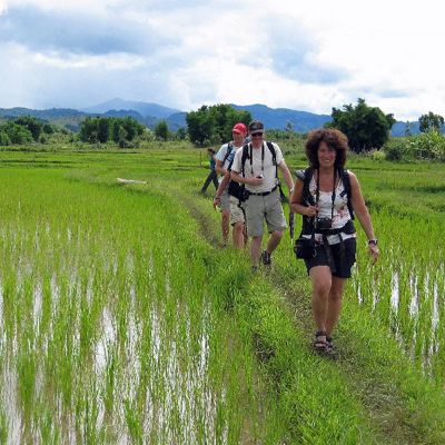 Wandelaars tijdens groepsrondreis Laos en Cambodja over een pad tussen rijstvelden langs de Mekong.
