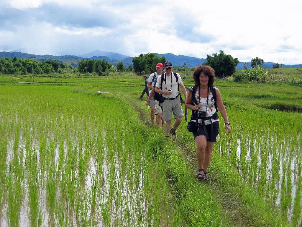 Wandelaars tijdens groepsrondreis Laos en Cambodja over een pad tussen rijstvelden langs de Mekong.